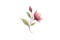 chatgpt image 25 aug 2026, 12 57 28